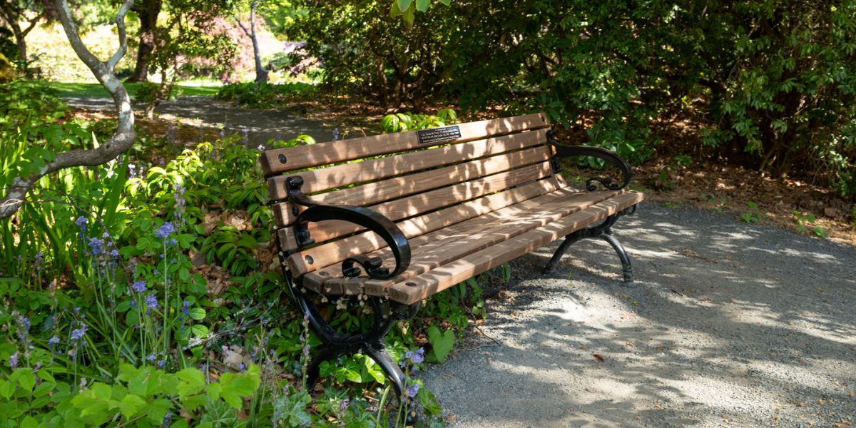 A commemorative bench rests in the gardens at RRU