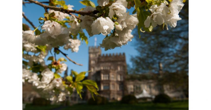 Flower blossoms in foreground, Hatley Castle in background