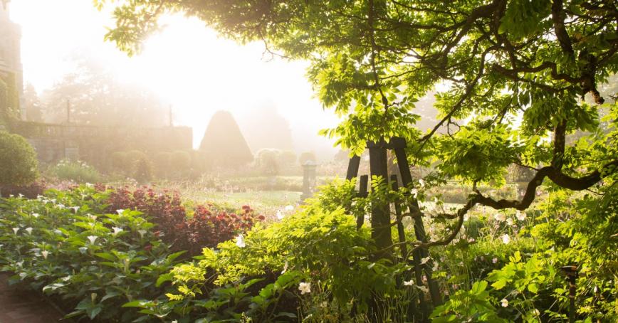 Campus gardens through a hazy sunrise