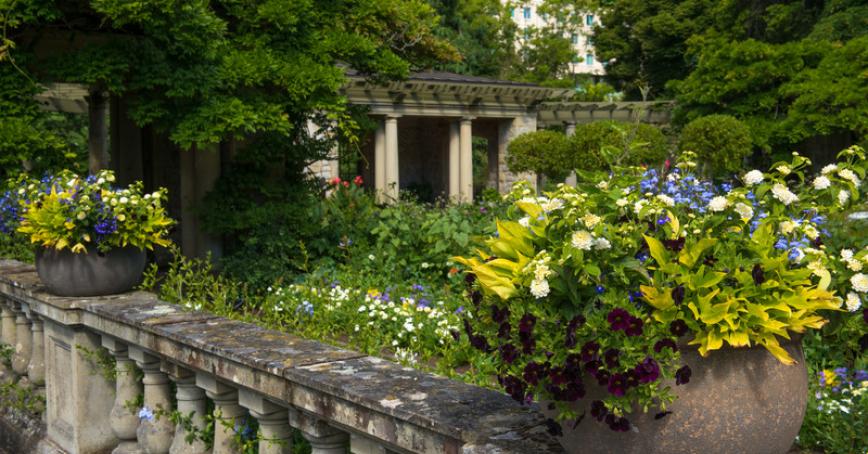 concrete garden wall with concrete planters with yellow and white flowers in foreground looking out to the expanded Italian garden and grounds