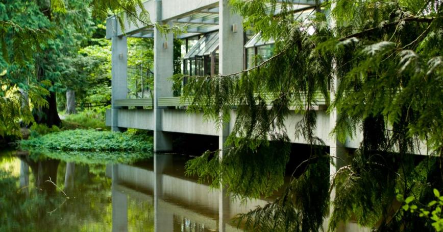 RRU library, trees over water