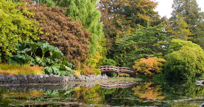 Japanese Garden