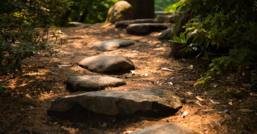 A dappled sunlit path through the Japanese Gardens at Royal Roads with rough hewn stepping stones.