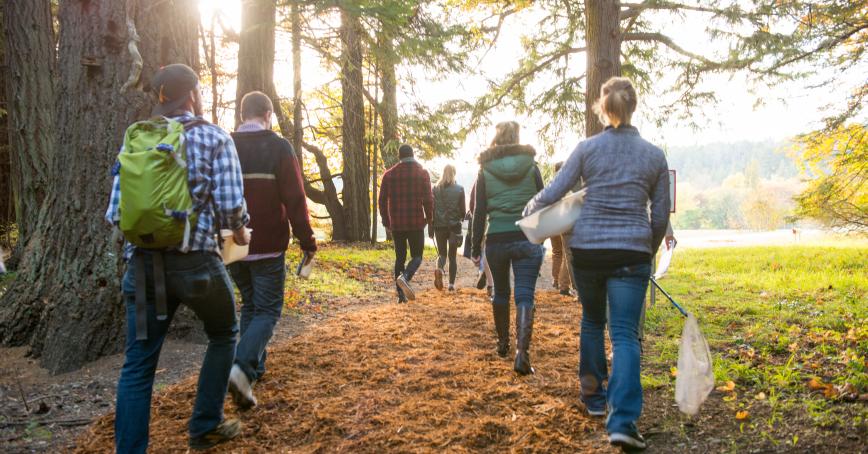 Students walking on campus