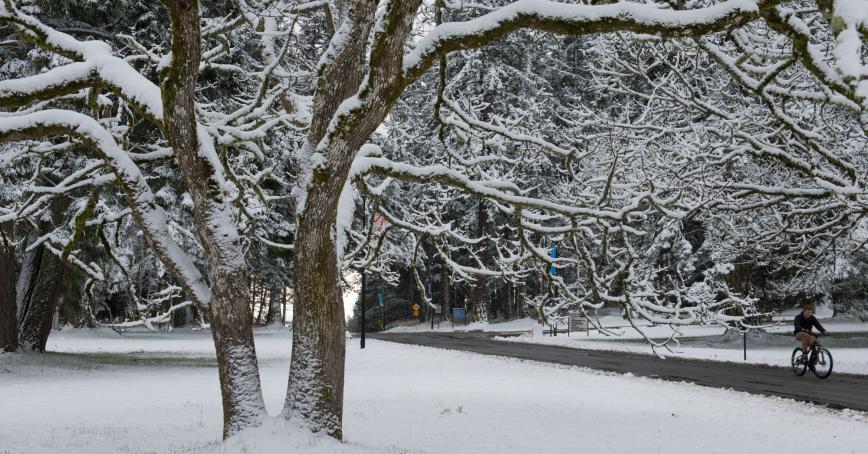 Campus Snow