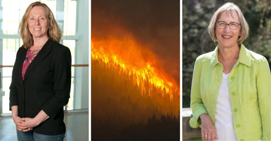 From left to right: Robin Cox, wildfire, Jean Slick.