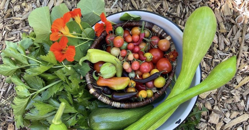 A bounty of food from the Farm at RRU.