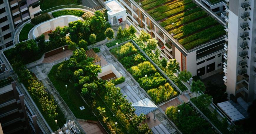 Aerial view of green roof of a high rise building