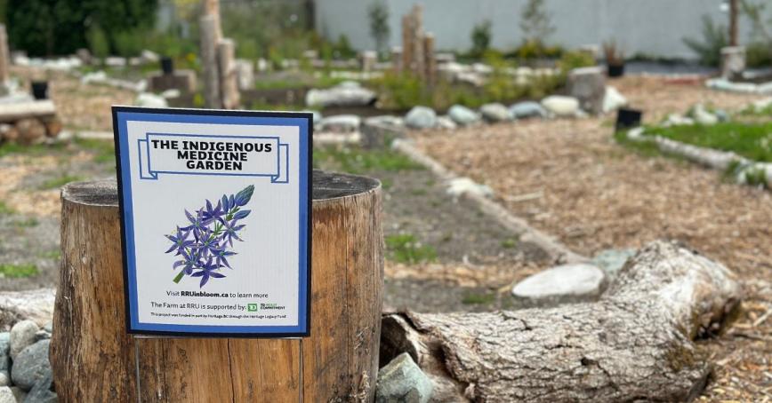 A sign that says "Indigenous Medicine Garden" in front of a blooming garden space