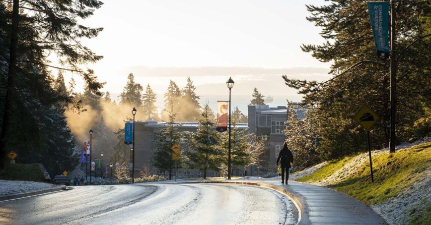 A winter road leading to campus