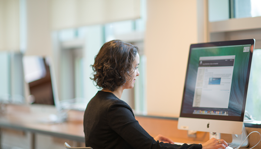 Seated-person-looking-at-desktop-screen