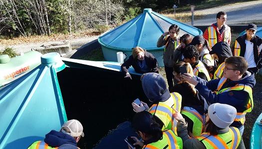 BBA students looking into a container.