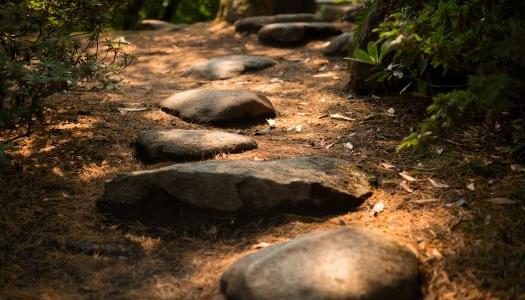 Rocks on a dirt path.