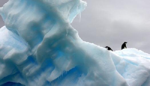 Two penguins on an ice flow.