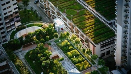 Overhead shot of a city showing many buildings with roof top gardens.