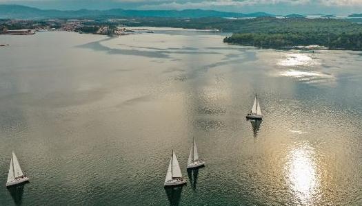 sailboats-in-sunny-water