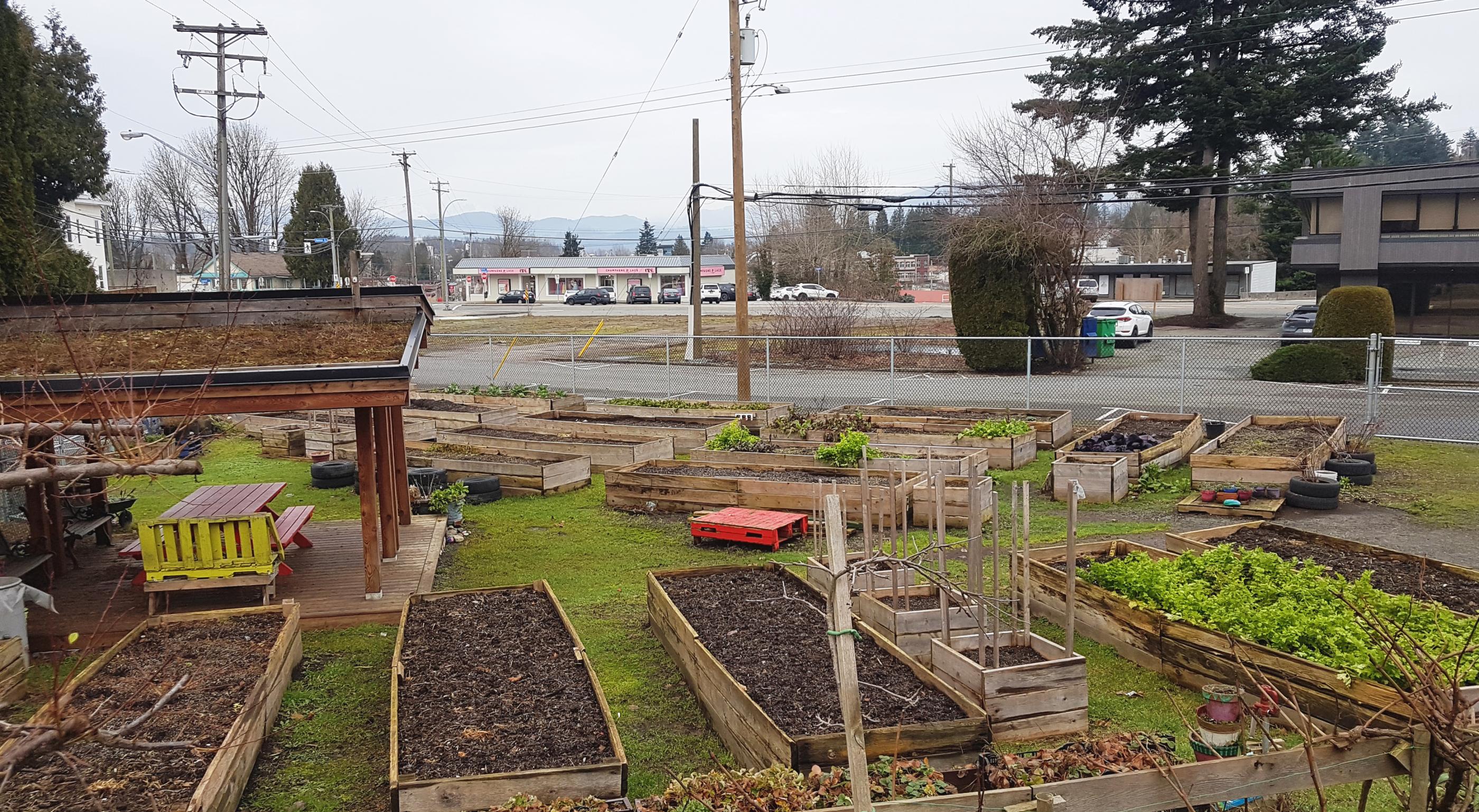 Outdoor Garden Planter Boxes on a cloudy day