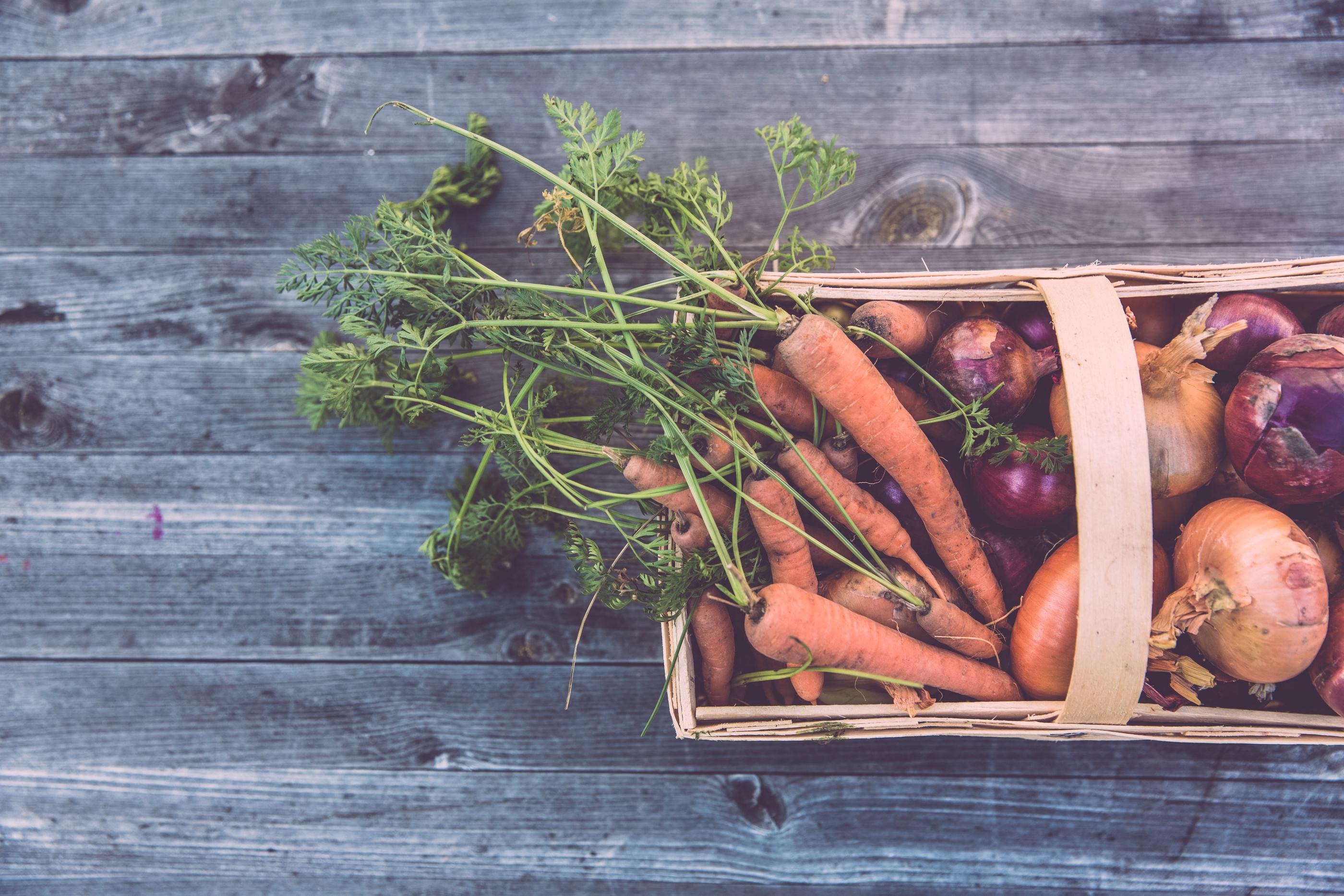 Basket filled with garden vegetables 