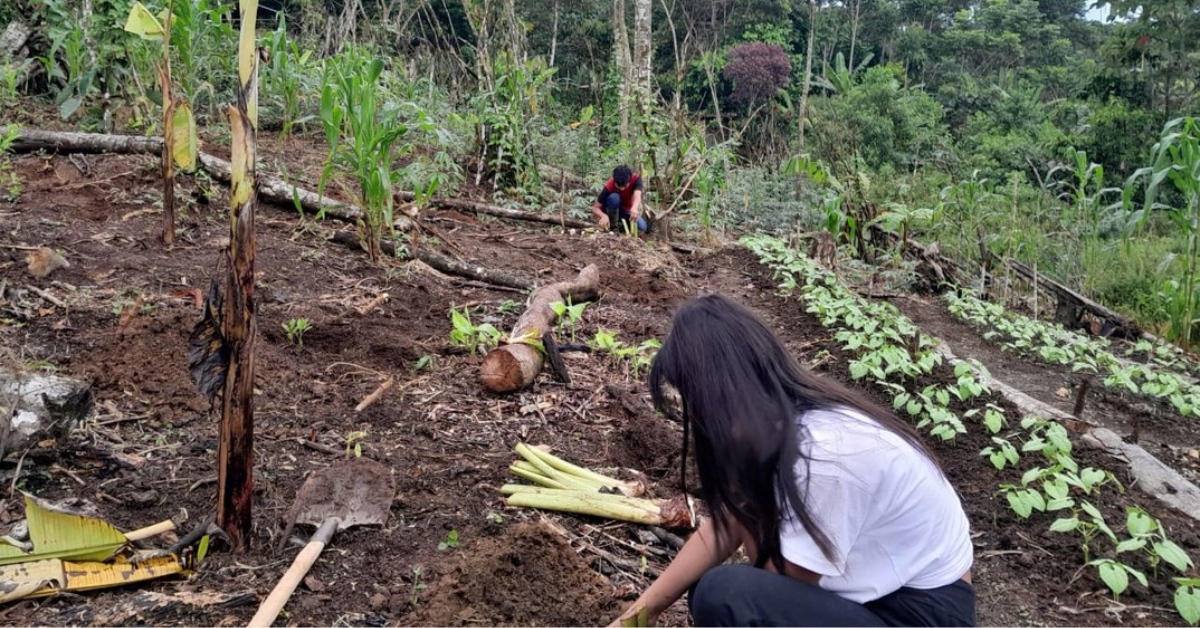 Woman working on a garden field.