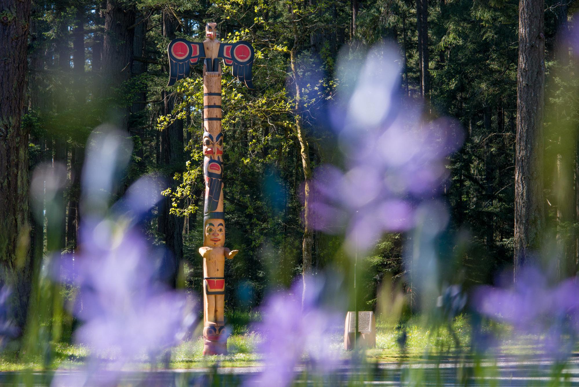 Sael Totem Pole with Camas in foreground 