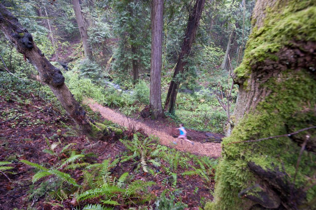 Runner-on-trail-on-Royal-Roads-campus