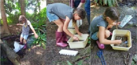 elementary-students-doing-invertebrate-sampling-at-Royal-Roads-University