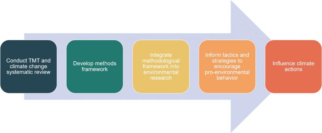 TMT insights and methods