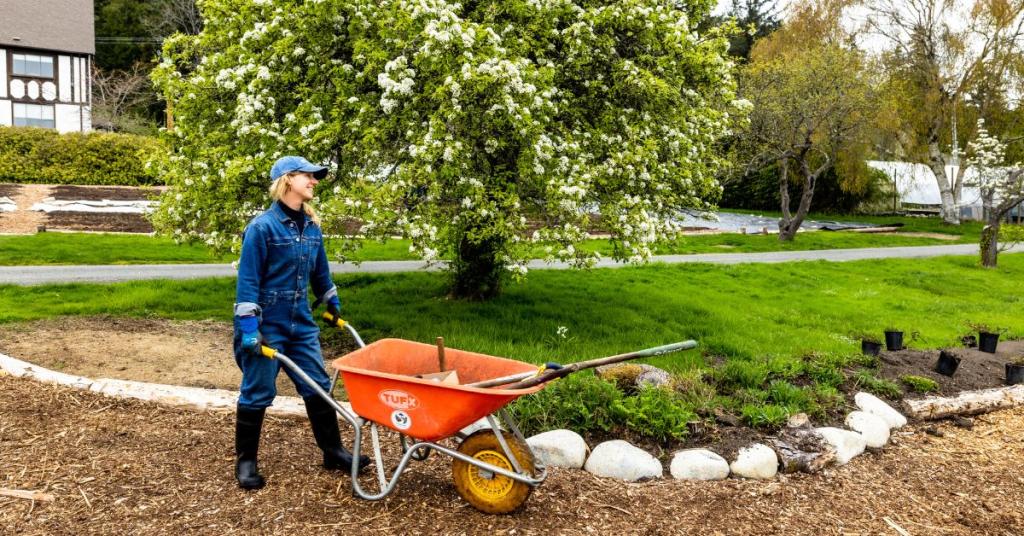 Solara Goldwynn walks into the Indigenous Medicine Garden with a wheelbarrow and tools