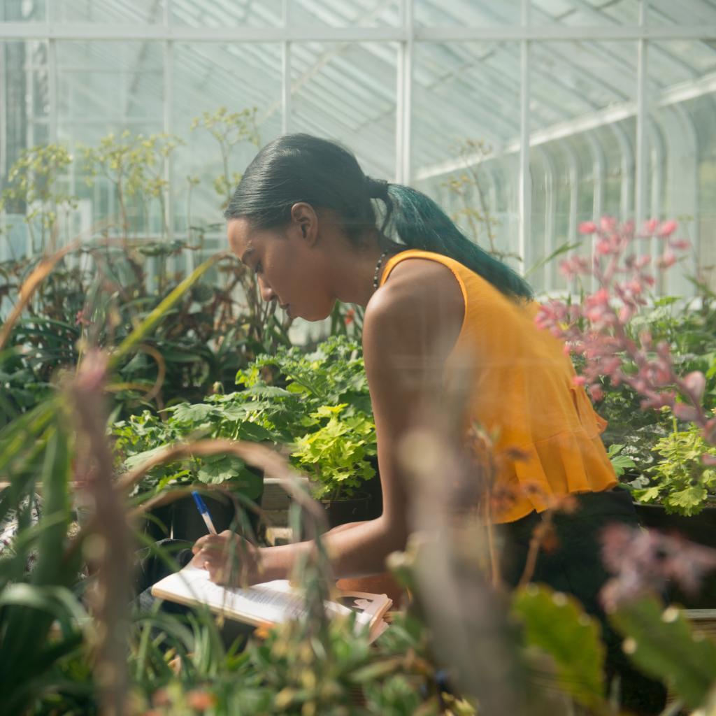 A student leans over plants growing in a greenhouse at RRU