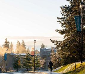 A driveway winds down a forested scene at Royal Roads University