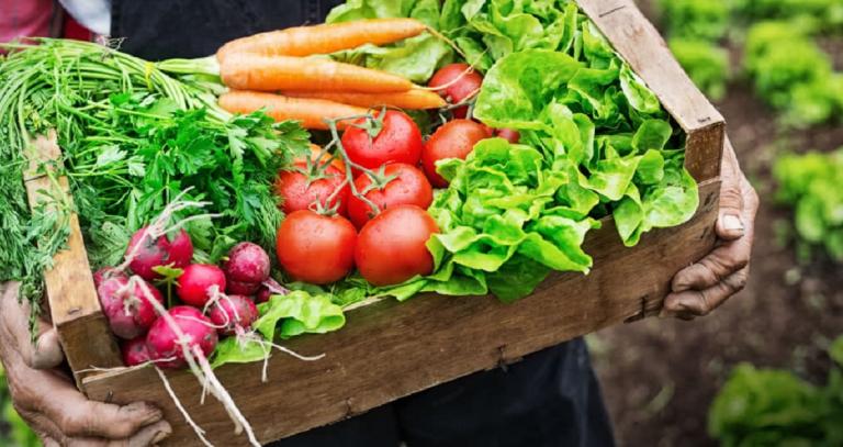 A gardener with dirty hands holds a big wooden box of fresh veggies.