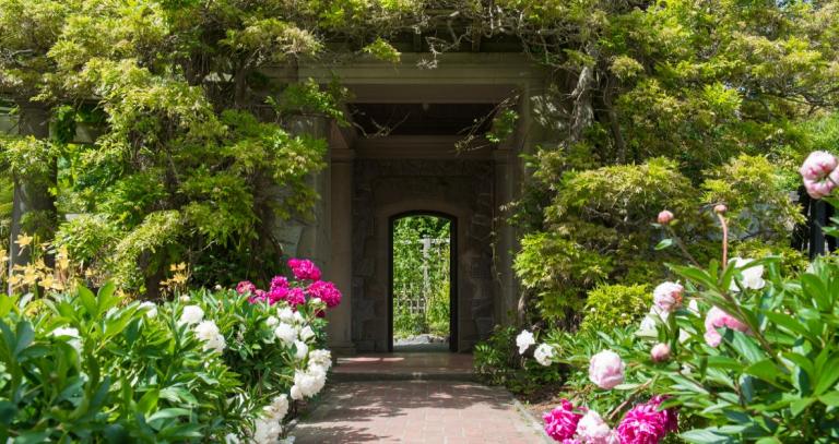 Garden path flanked by pink and white flowers and bushy greenery