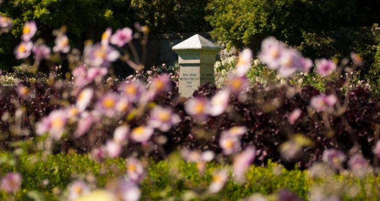 The cenotaph in Royal Roads University Italian Garden surrounded by pink flowers.