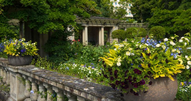 concrete garden wall with concrete planters with yellow and white flowers in foreground looking out to the expanded Italian garden and grounds