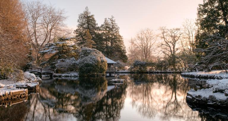 Campus Snow