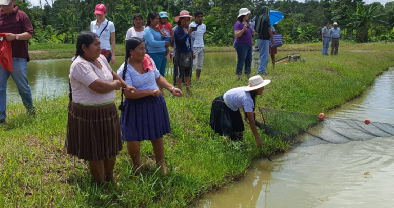 A community of people fishing on grassy lands in a large group