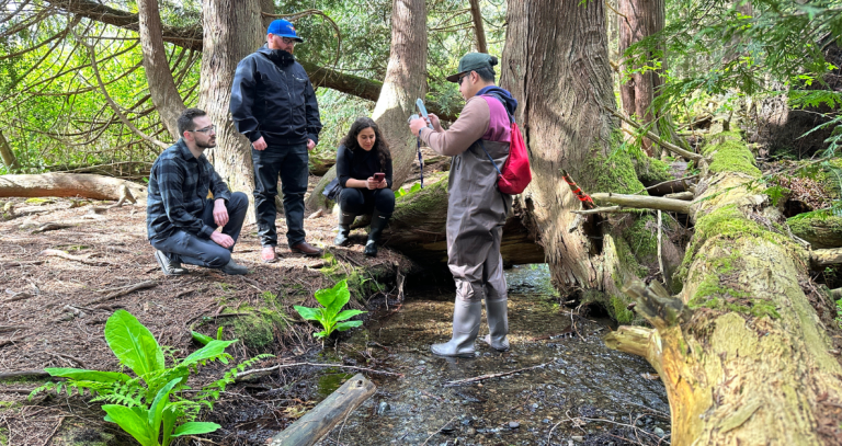 Creek monitoring featured image