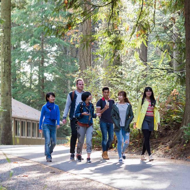 A group of RRU students walk together along a trail in a forested area as sunlight beams in.