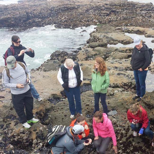 A group of Royal Roads students crouch near an instructor along a rocky shoreline