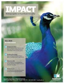 Impact cover: fall 2018 edition