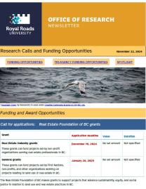 Page 1 of the research e-bulletin with a branded header, decorative image, and text.