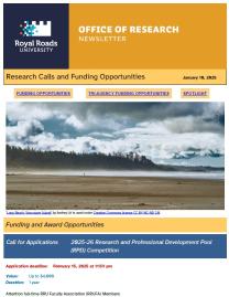 Page 1 of the research ebulletin, with branded header, decorative image, and text.